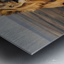 King of the Savannah: The Greatness and Majesty of the Lion  Metal print