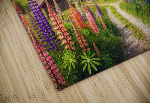 Chemin d alpage Photo Max puzzle