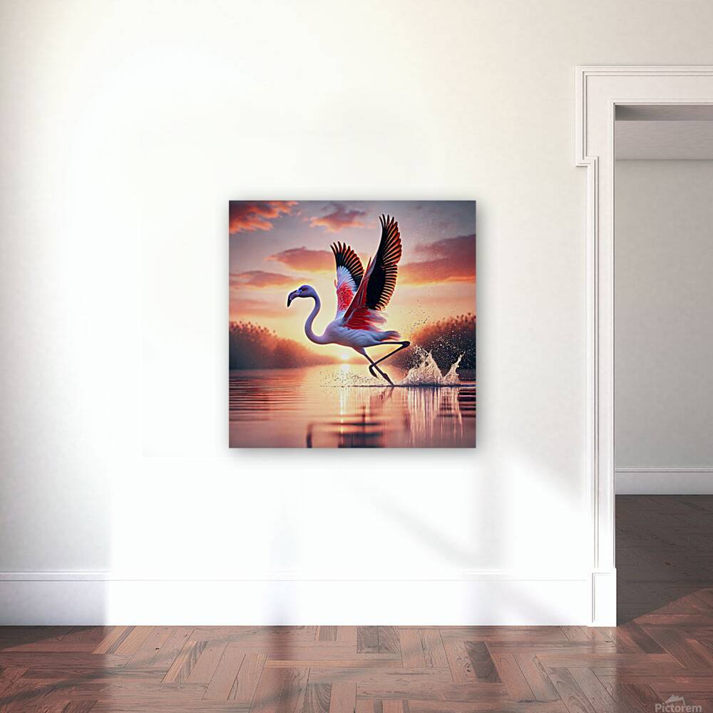 Flamant prenant son envol Reproduction