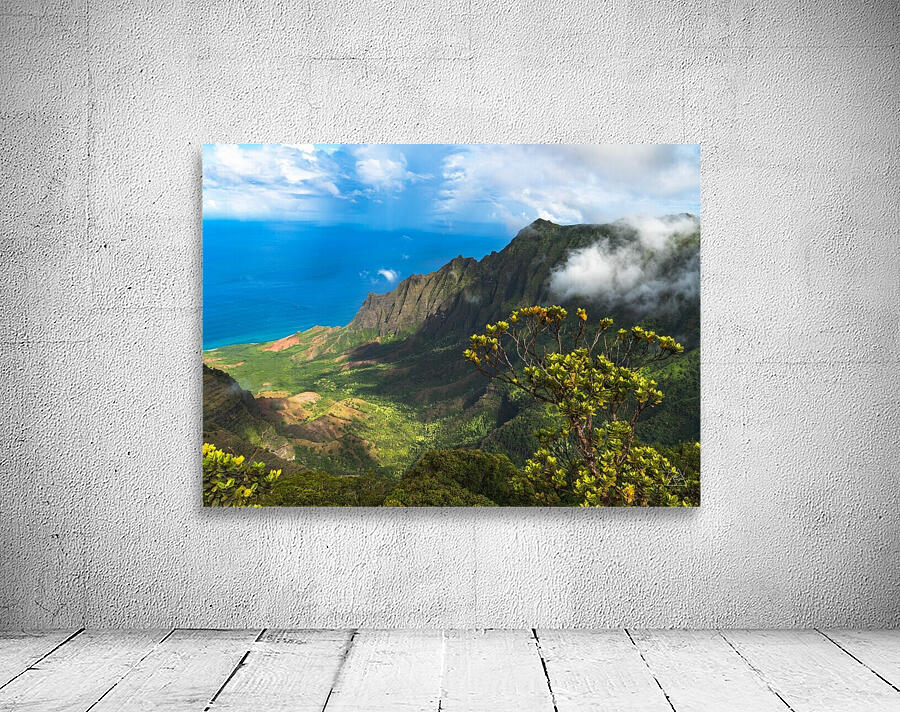 Kalalau Lookout Wall Preview