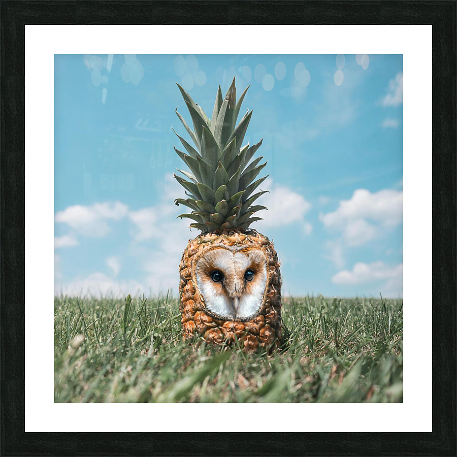 owl pineapple fruit grass field Picture Frame print
