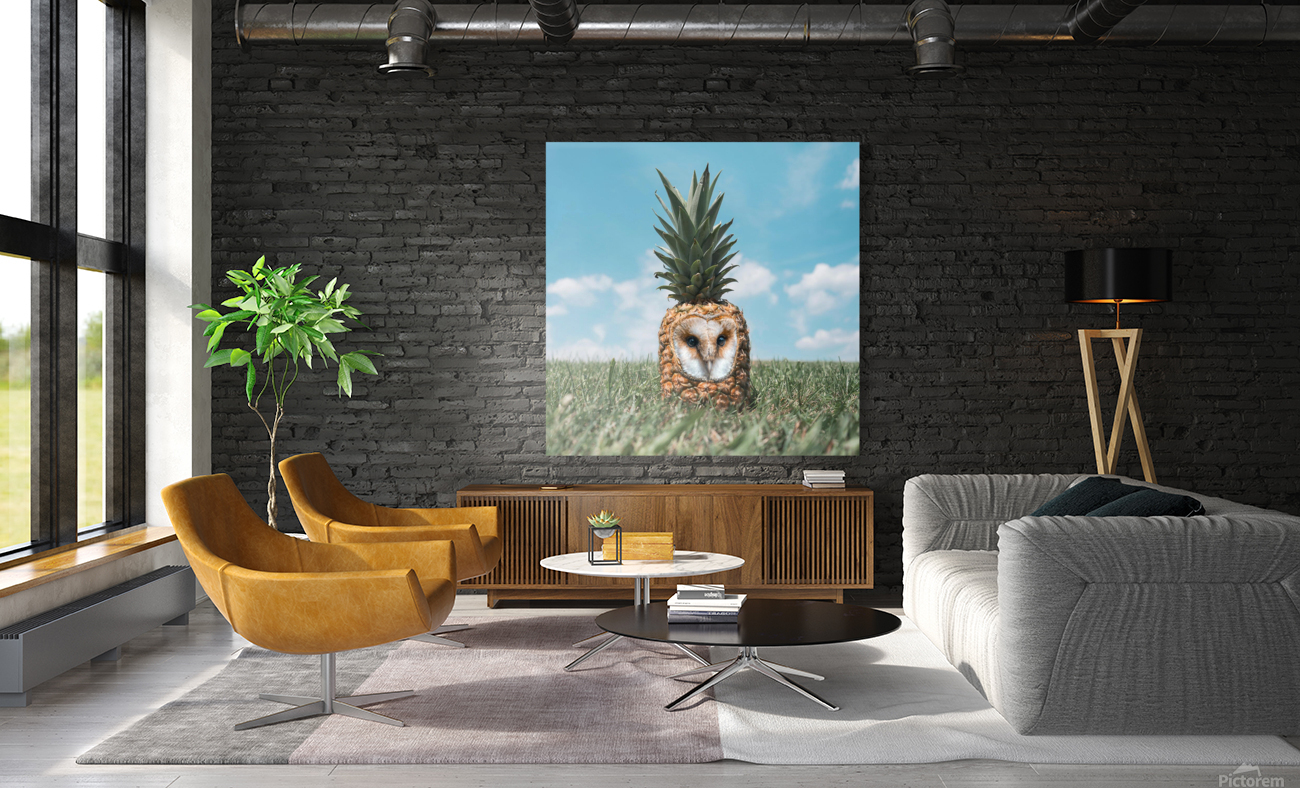 owl pineapple fruit grass field Reproduction