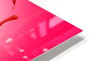 pink strawberry HD Metal print