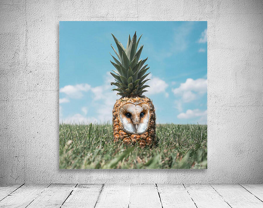 owl pineapple fruit grass field Wall Preview