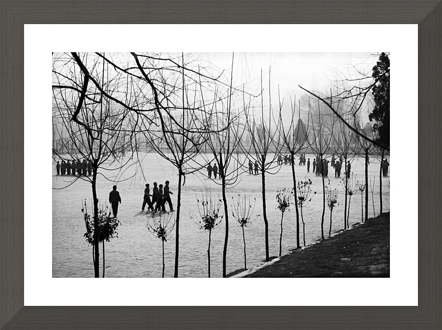 BW PRINT COLLECTION062 Picture Frame print