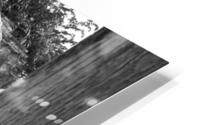 BW PRINT COLLECTION112 HD Metal print