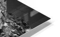 BW PRINT COLLECTION098 HD Metal print