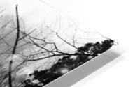 BW PRINT COLLECTION062 HD Metal print