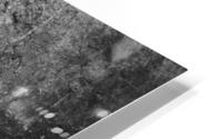 BW PRINT COLLECTION032 HD Metal print