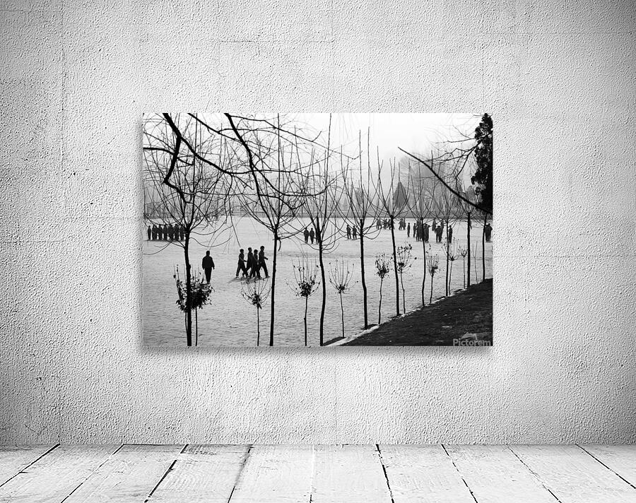 BW PRINT COLLECTION062 Wall Preview