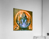 Glass ArtXcl 322 Acrylic Print