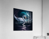 Midnight Swan Acrylic Print