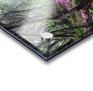 On My Way Home Acrylic print