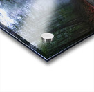 A Road Less Traveled Acrylic print