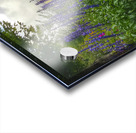 Springtime at Grandfather Mountain  Acrylic print