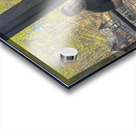 Hermann Acrylic print