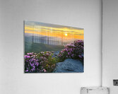 Sunrise over Linville Wilderness Acrylic Print
