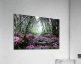 On My Way Home Acrylic Print