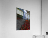 A Road Less Traveled Acrylic Print