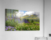 Springtime at Grandfather Mountain  Acrylic Print