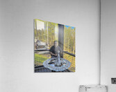 Hermann Acrylic Print