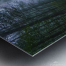 A Road Less Traveled Metal print