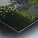 Springtime at Grandfather Mountain  Metal print