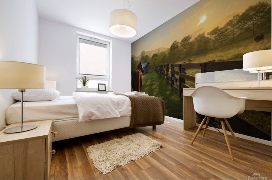 Stillness over  Banner Elk Mural print