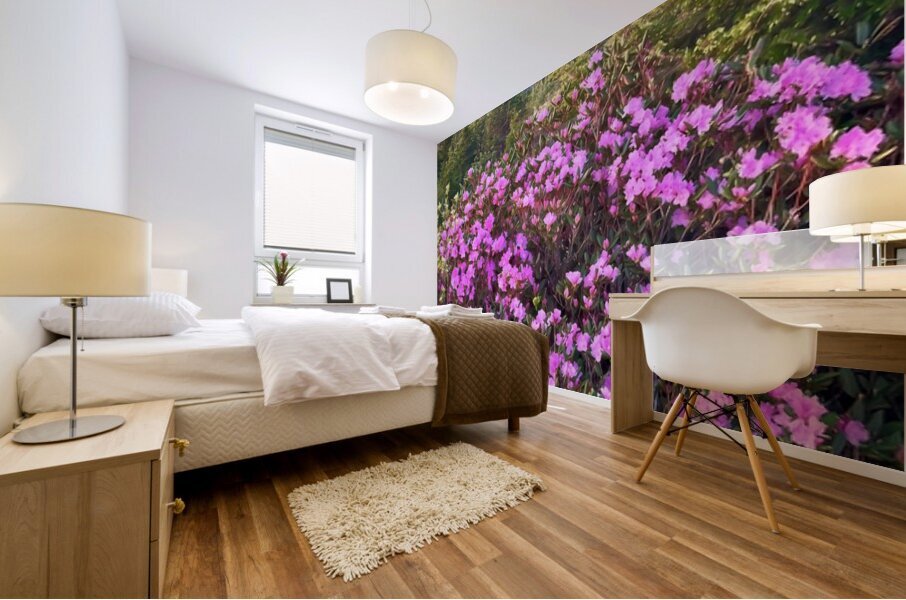 Magical Morning  Mural print