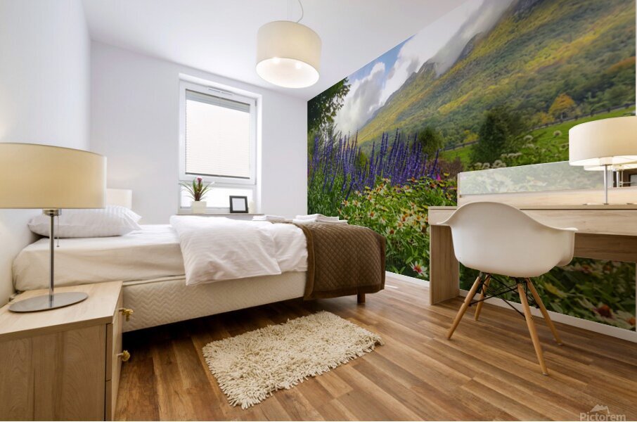 Springtime at Grandfather Mountain  Mural print