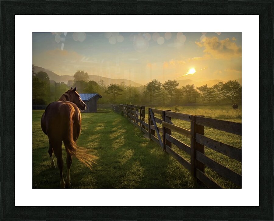 Stillness over  Banner Elk Picture Frame print