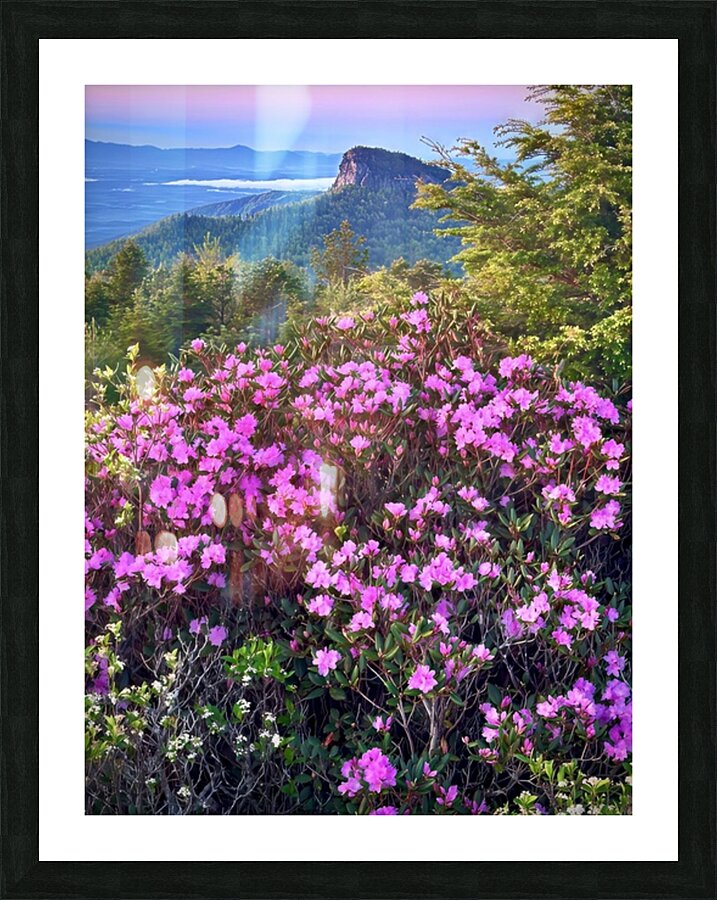 Magical Morning  Picture Frame print