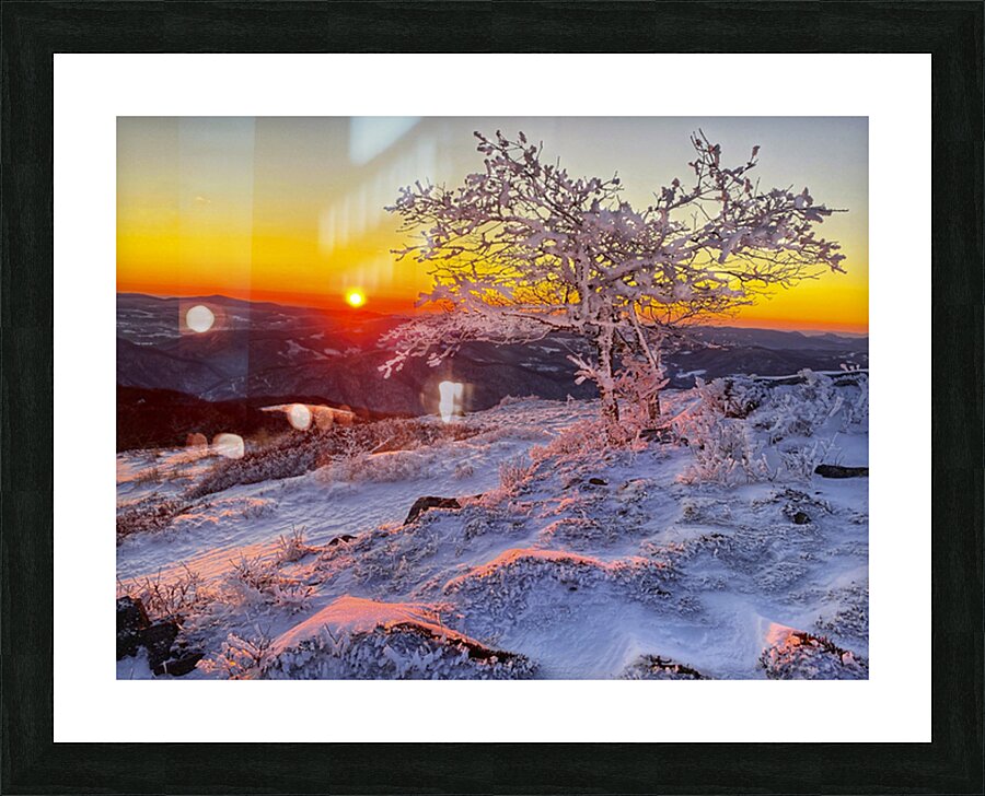 Frozen Silence Picture Frame print