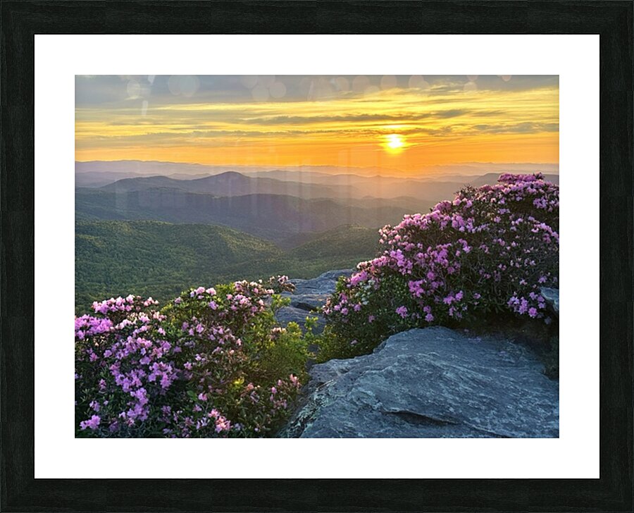 Sunrise over Linville Wilderness Picture Frame print