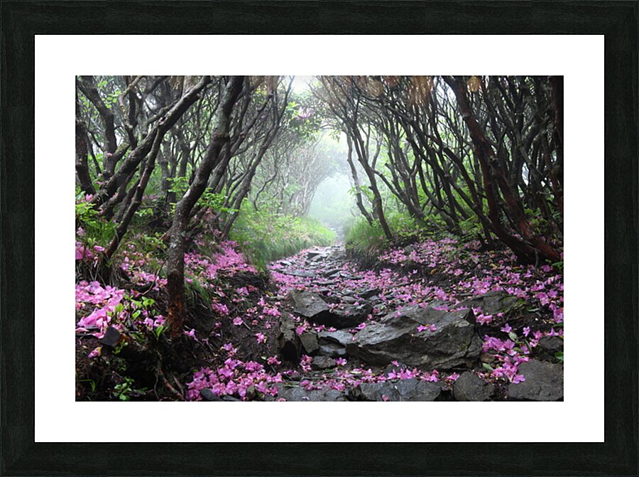 On My Way Home Picture Frame print