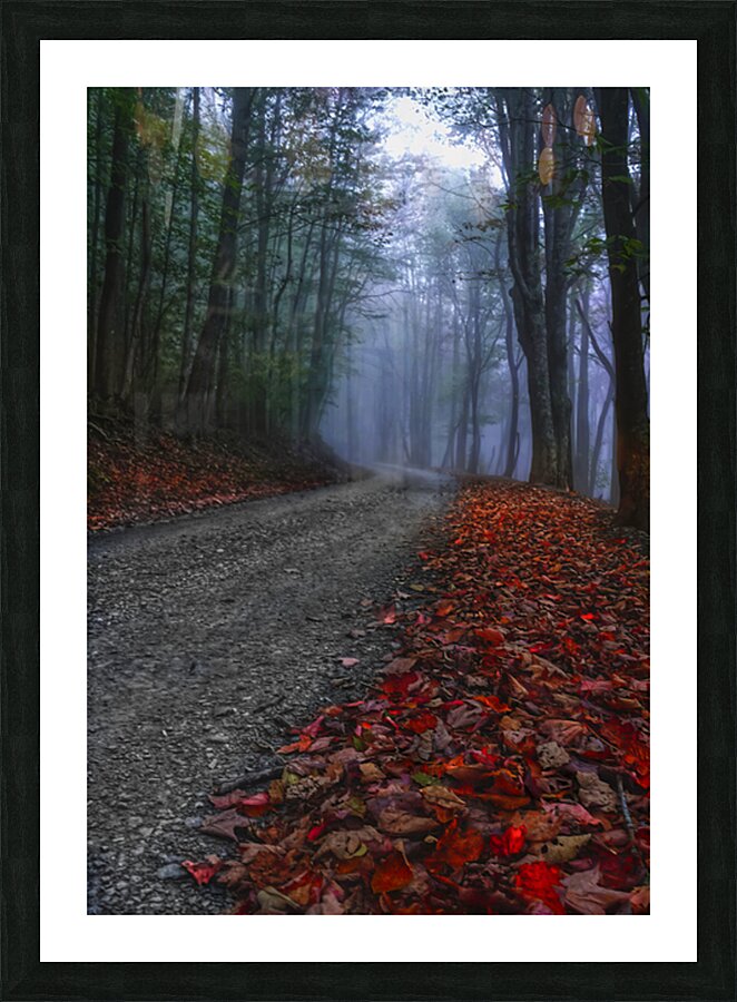 A Road Less Traveled Picture Frame print