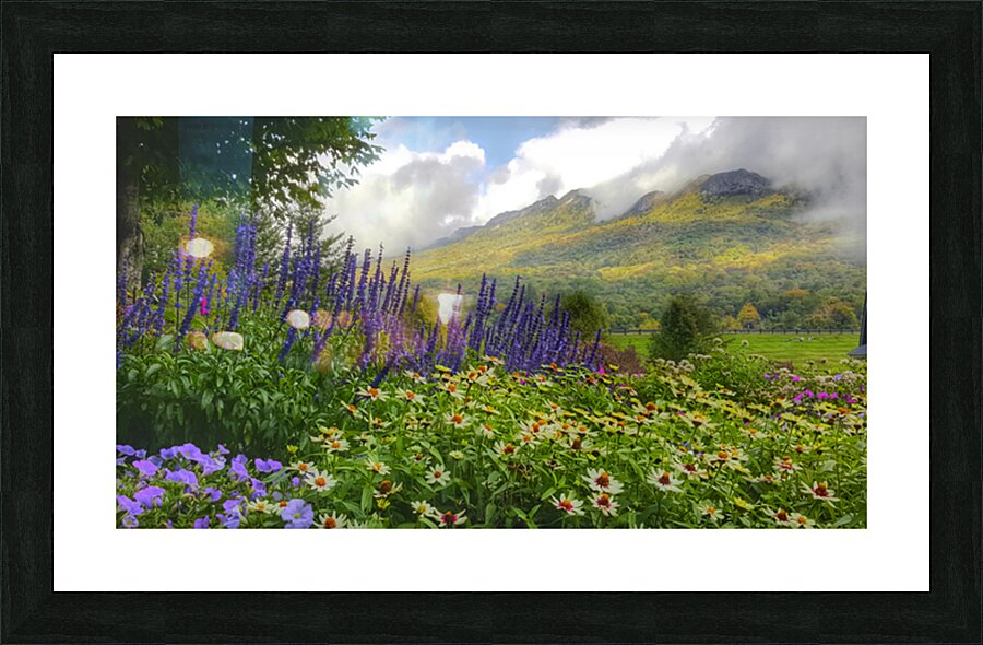 Springtime at Grandfather Mountain  Picture Frame print