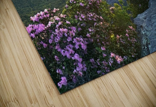 Sunrise over Linville Wilderness Joseph Nitti puzzle