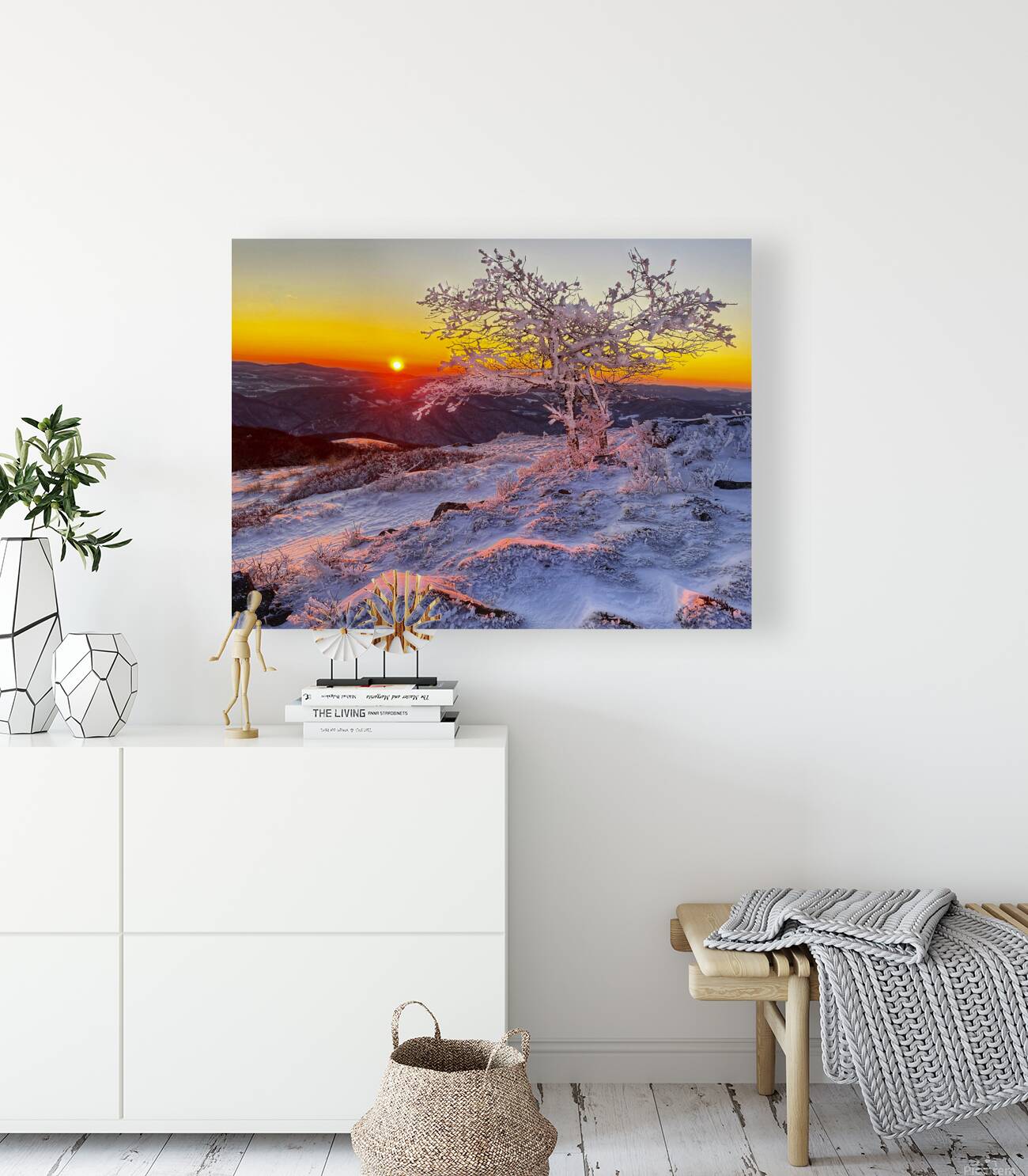 Frozen Silence Reproduction