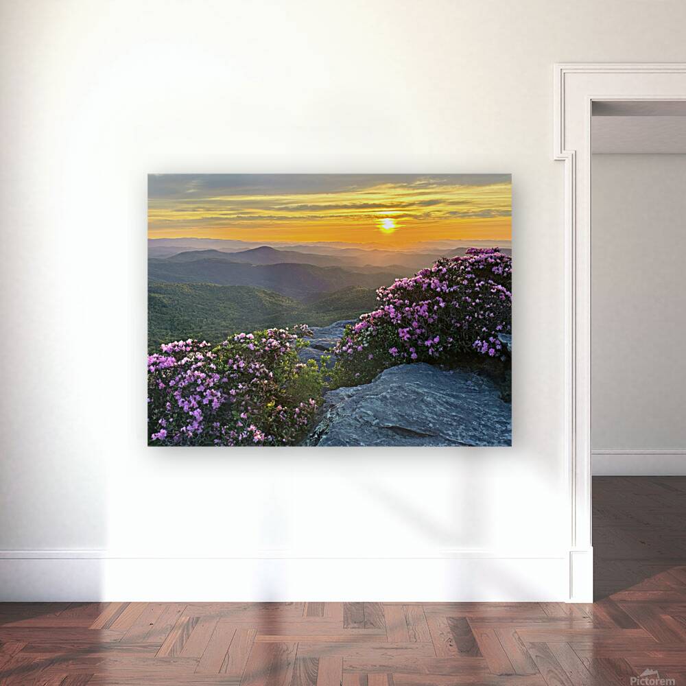 Sunrise over Linville Wilderness Reproduction