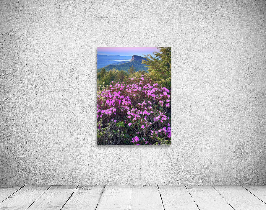 Magical Morning  Wall Preview