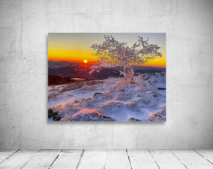 Frozen Silence Wall Preview