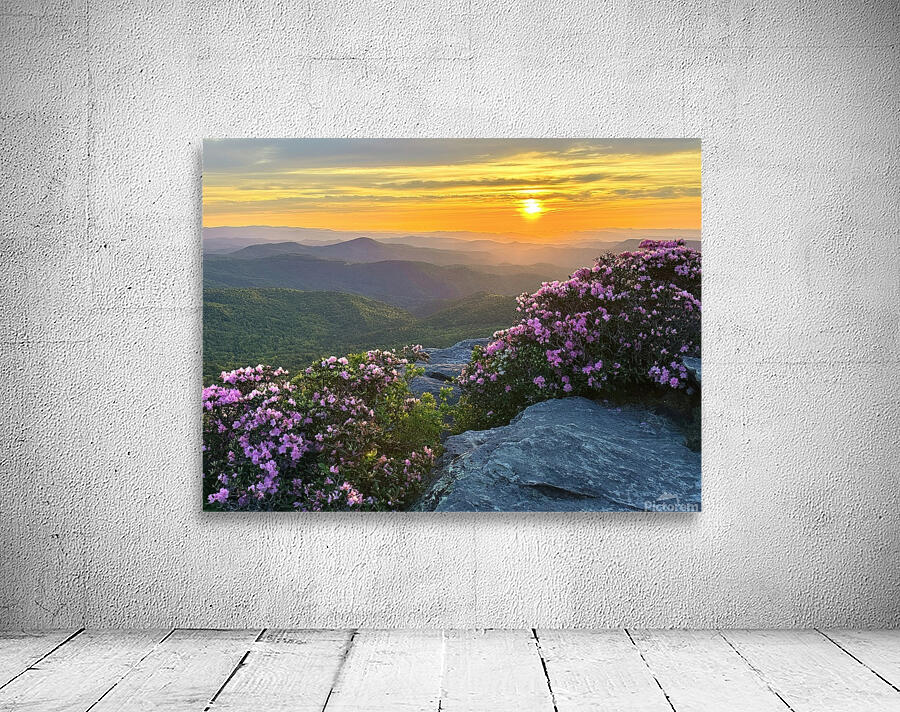 Sunrise over Linville Wilderness Wall Preview