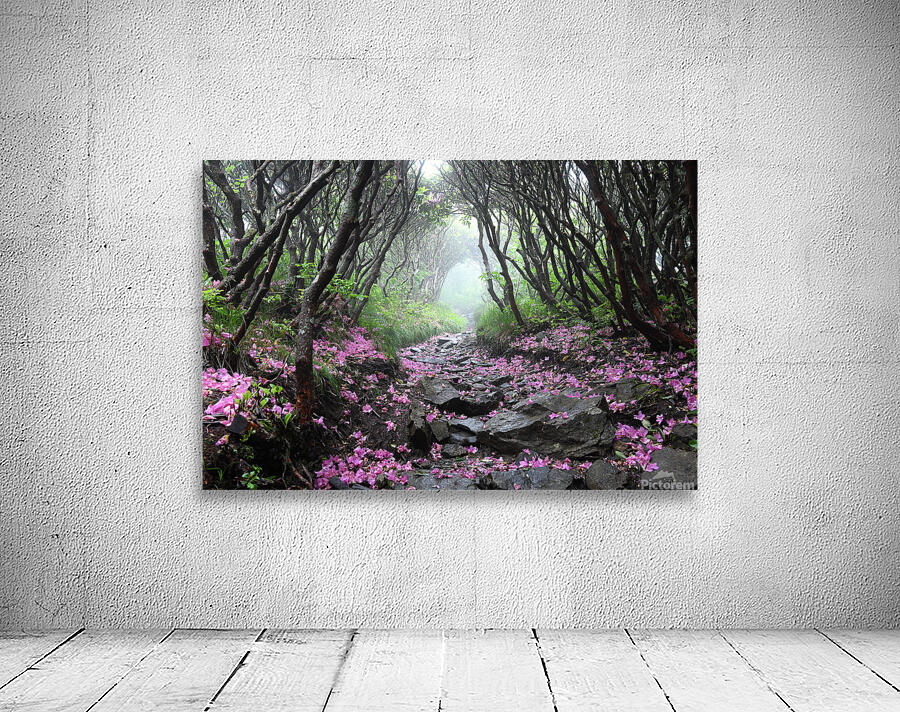 On My Way Home Wall Preview