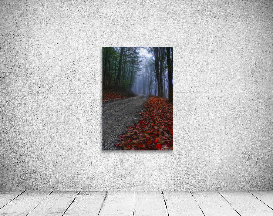 A Road Less Traveled Wall Preview