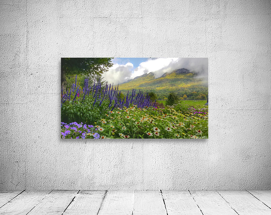 Springtime at Grandfather Mountain  Wall Preview