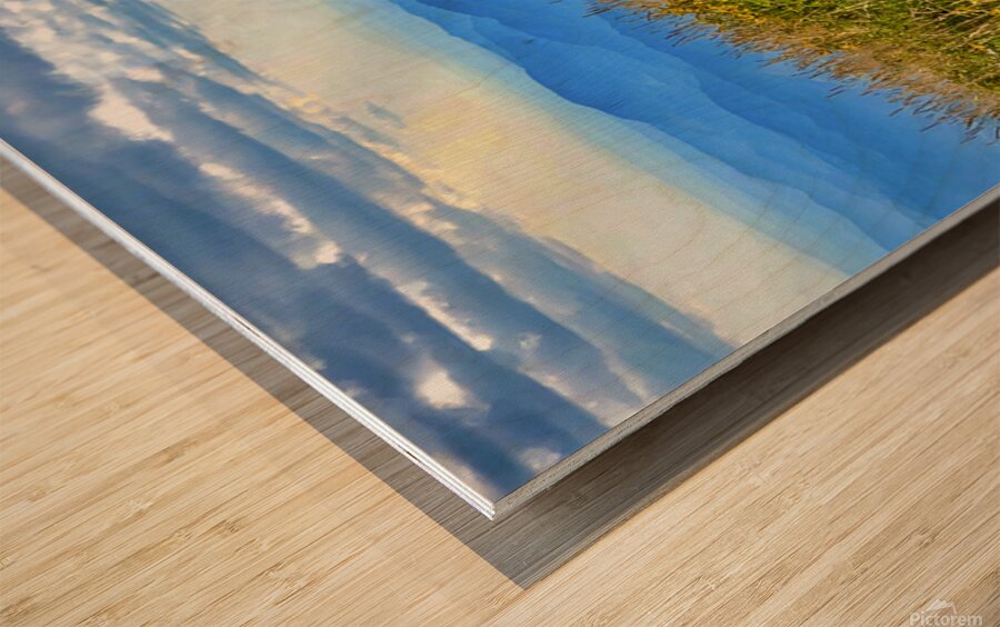 Wandering The Blue Ridge Wood print