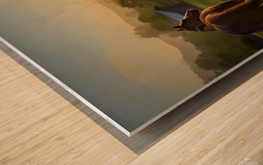 Stillness over  Banner Elk Wood print