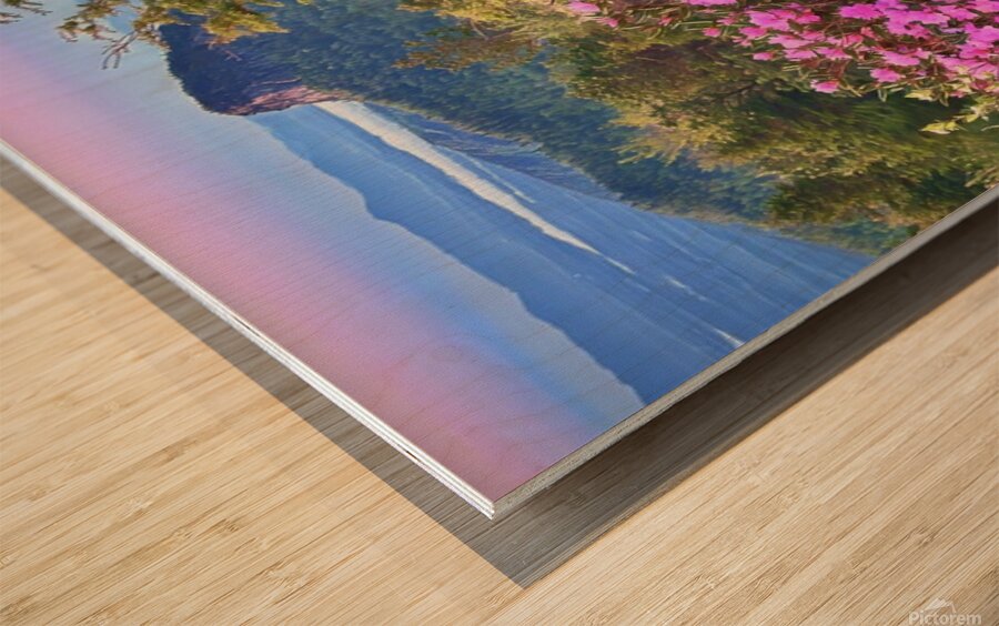 Magical Morning  Wood print