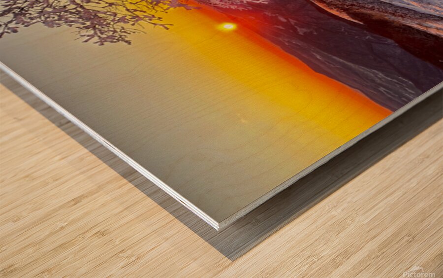 Frozen Silence Wood print